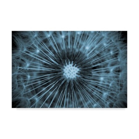 Trademark Fine Art Guillaume Legraverend 'Macro Dandelion' Canvas Art, 12x19 1X07306-C1219GG